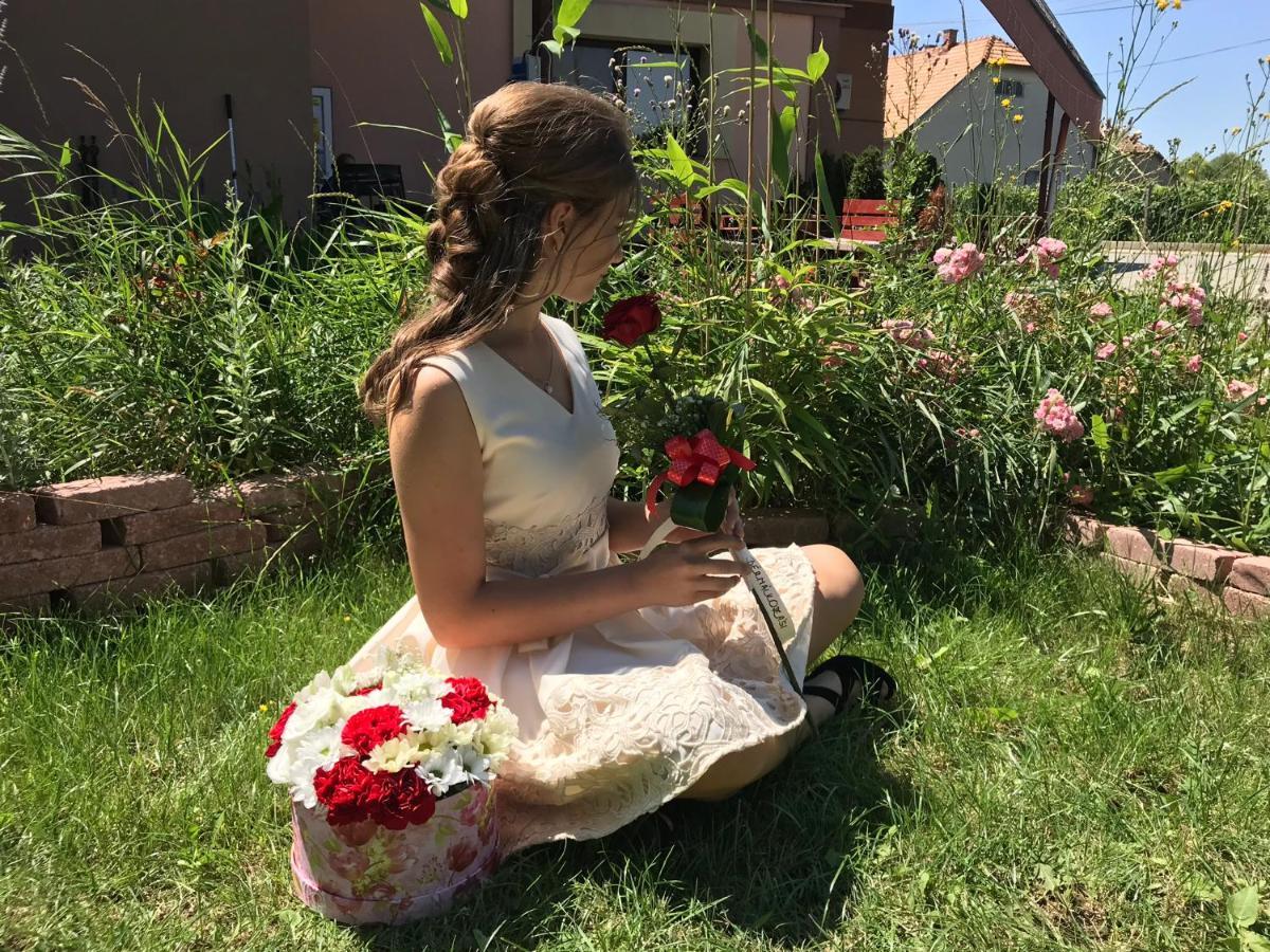 Korona Panzio Bed & Breakfast Blh nad Iplom Екстериор снимка